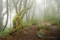 2011-10-07_13-03_0110_La_Gomera