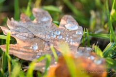 2015-10-24_13-35_0090_Andechs_Herbst